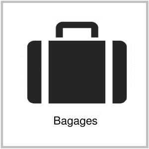 bagages-vtc-aeroport-gare